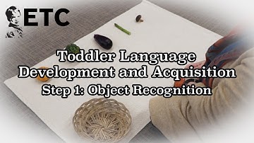 Step 2 Object to Picture Matching