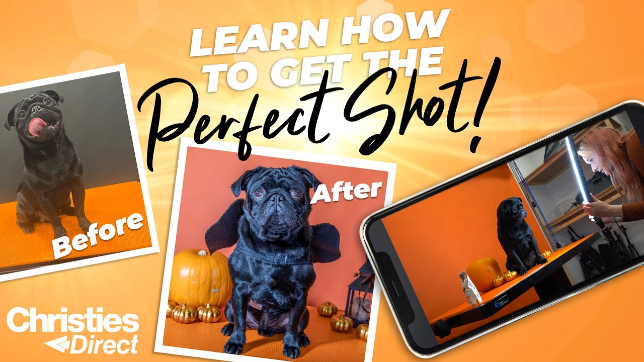 How to take the perfect pet photo YouTube