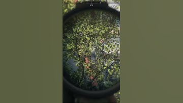 Spotter scope is Meta. You cant hide from it… #Warzoneclips #CallofDuty #MW2 #xbox #activision