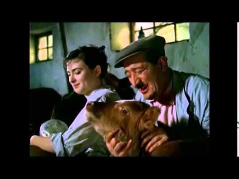 ლა ვუტო ლააა