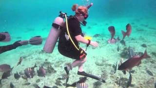 Under Da Sea  Scuba Diving Cozumel 2016