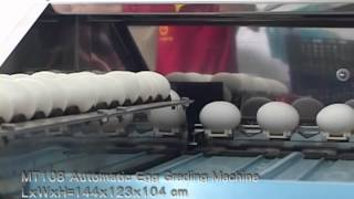 MT 108 Automatic Egg Grading Machine From Fong Chow Agricultural Machinery