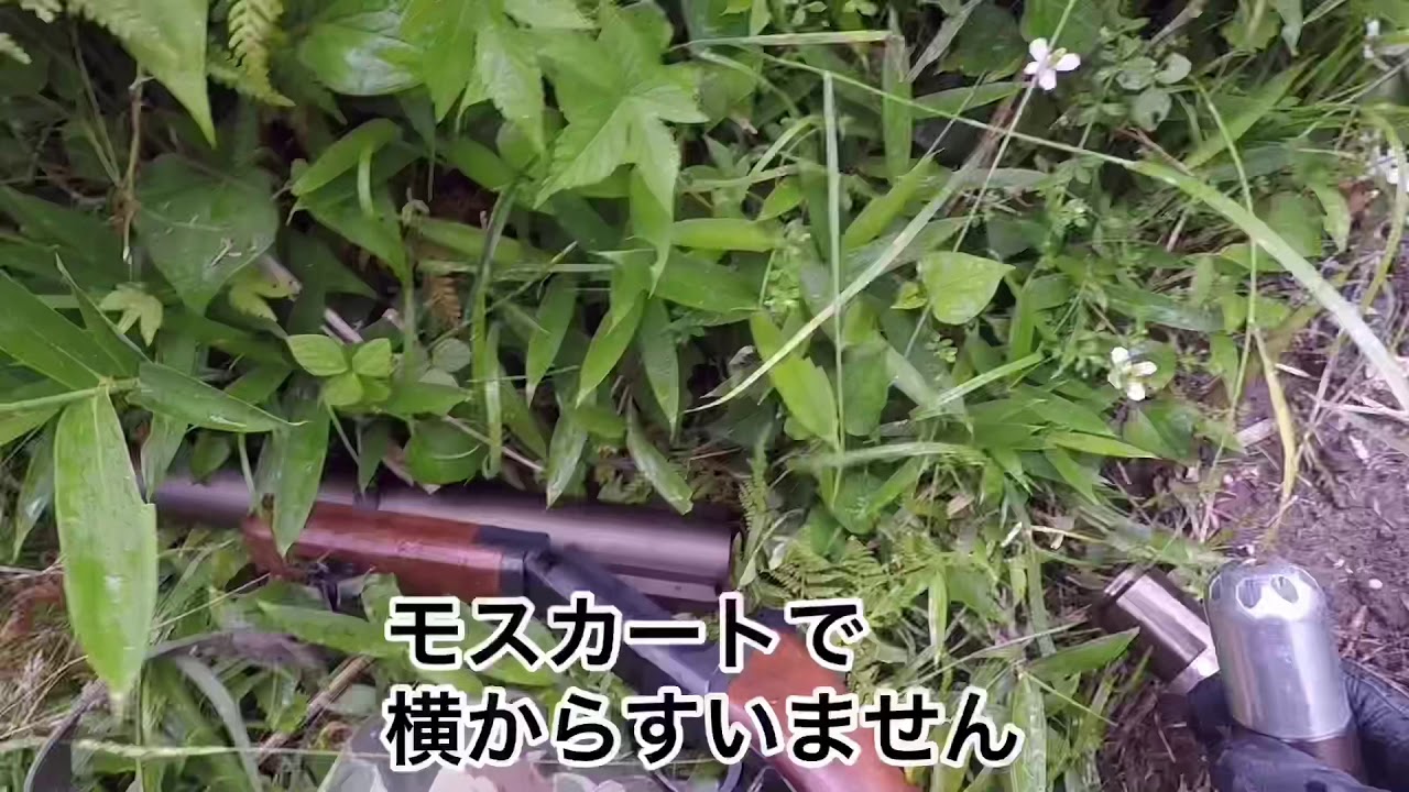 M79ヒット動画 編集版2019年6月16日