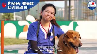 Feb 2025 Pets Central