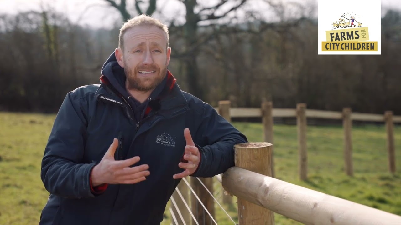 Creating power pockets of nature in partnership with The Woodlands Trust