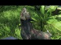 Shotgun hunt rabid dogs  far cry 3side mission smigbonap aei