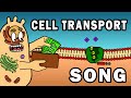 Cell Transport Mechanisms: Energy Use and Substance Movement
