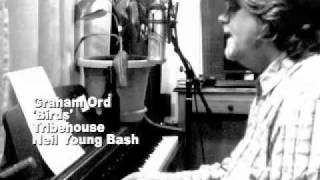 Graham Ord - Birds - Tribehouse