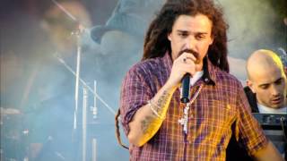 Dread Mar I arbol sin hojas