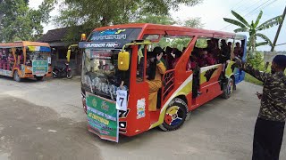 Chase the Tayo Odong Odong Bus Parade Group