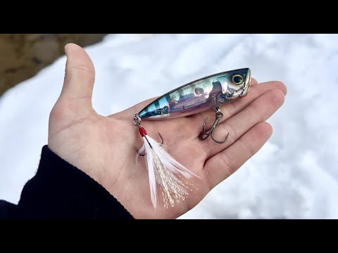 Lure Review! Shimano Flash Boost Topwater Popper. #fishing