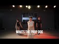 HELLODANCE  SOLAR  choreo -  Whats the Prop Dog