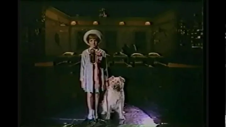 Annie - Texaco Star Theatre (1982)