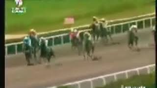 Fly Dancer 21032005 Şanliurfa