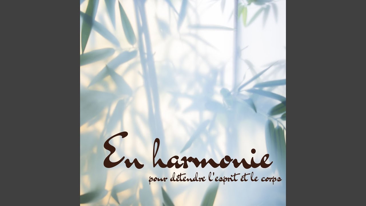 Musique d'ambiance - YouTube