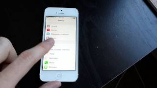 iOS 7 Beta 5 New Settings Icons screenshot 3