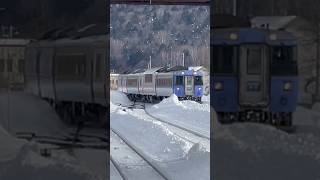 留辺蘂駅に入線するキハ183系特急大雪
