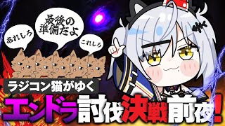 猫元パトの配信のサムネイル画像