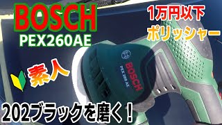 ボッシュのポリッシャーPEX260AEを使った素人のボンネットを磨き