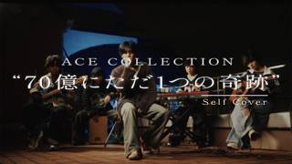 701  Ace Collection