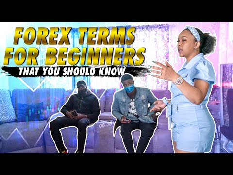 Top Forex Terms For Beginners You Should Know