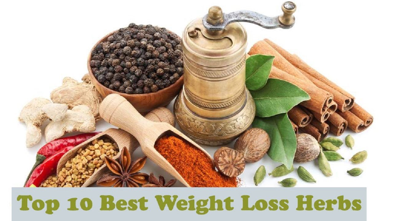 Top 10 Best Herbs For Lossing Weight Easily Natural Weight Loss