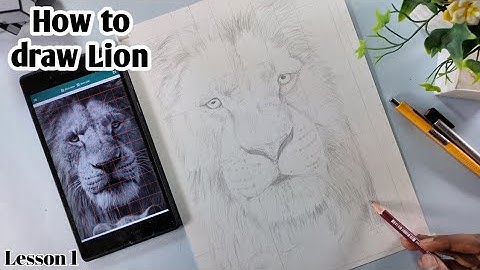 How to Draw Lion Easy Step by Step | Lion Drawing | Lesson 1