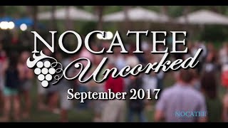 Nocatee Uncorked Wine Tasting- September 2017