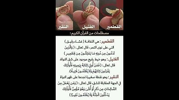 مصطلحات من القرآن الكريم ( القطمير) و(الفتيل) و(النقير)