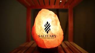 Saltuary Wentworth Point - Take a tour