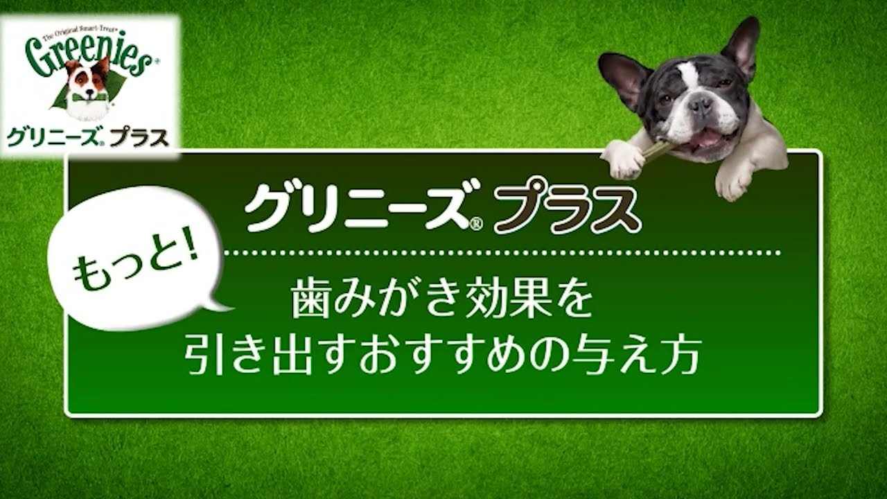 グリニーズプラス カロリーケア 正規品｜ 犬用おやつ｜ ペット用品の