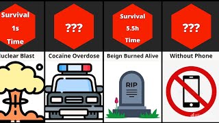 Comparison: How Long Would You Survive İn These Situations 