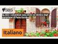 Ep.423: I colombiani sono divisi sul destino degli ippopotami di Pablo Escobar | SBS Italian -...