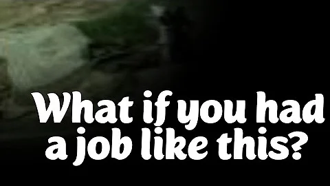 $130,000 job changing light bulbs 2 days a year job.