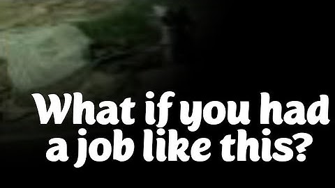 $130,000 job changing light bulbs 2 days a year job.