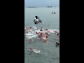 My FIRST Open Water Race #shorts #swim #openwater