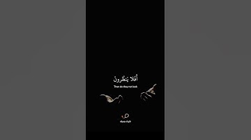 ( أَفَلَا يَنظُرُونَ إِلَى الْإِبِلِ ) القارئ " عبدالرحمن مسعد " راحة نفسية 🤍