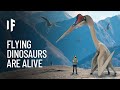 What If the Pterodactyl Was Still Alive?