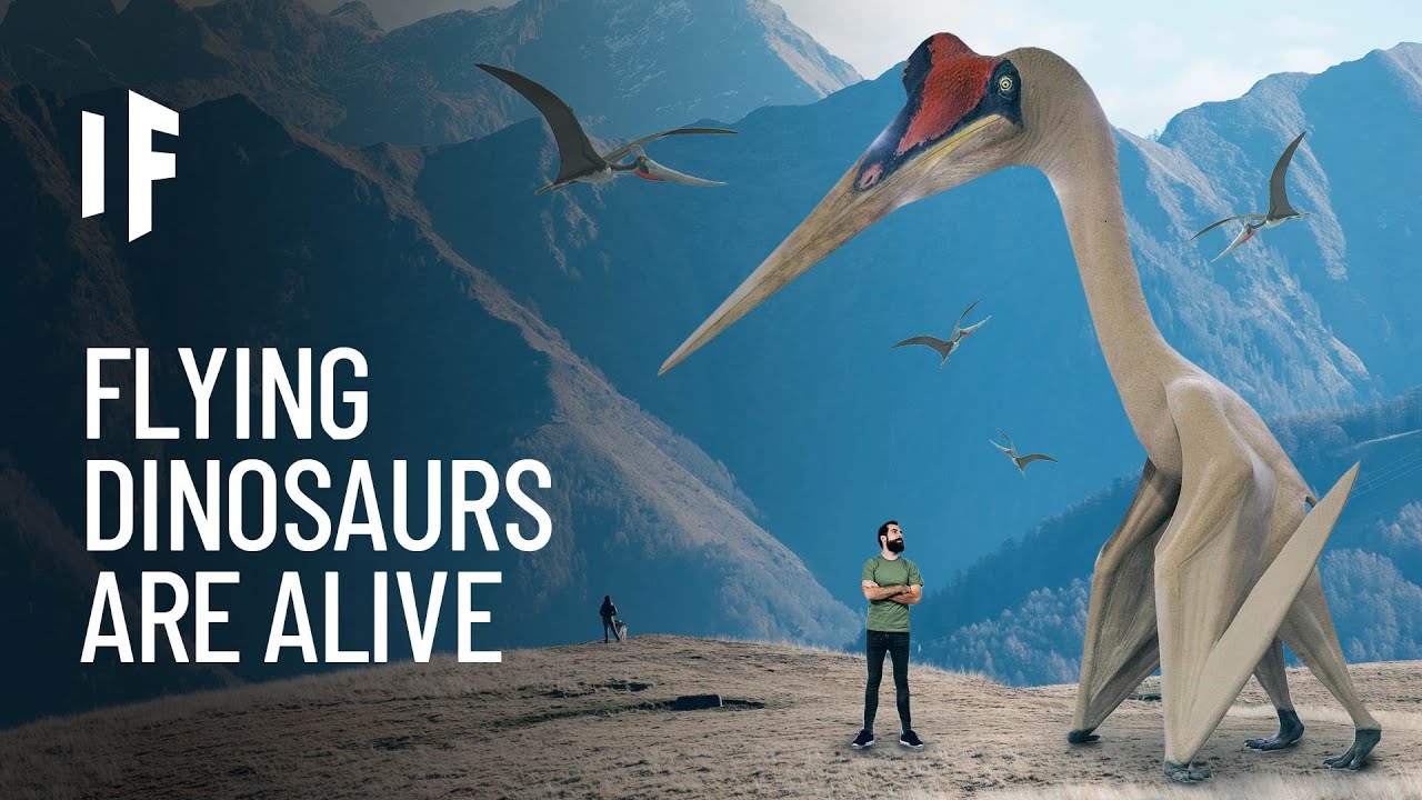 Download What If the Pterodactyl Was Still Alive?