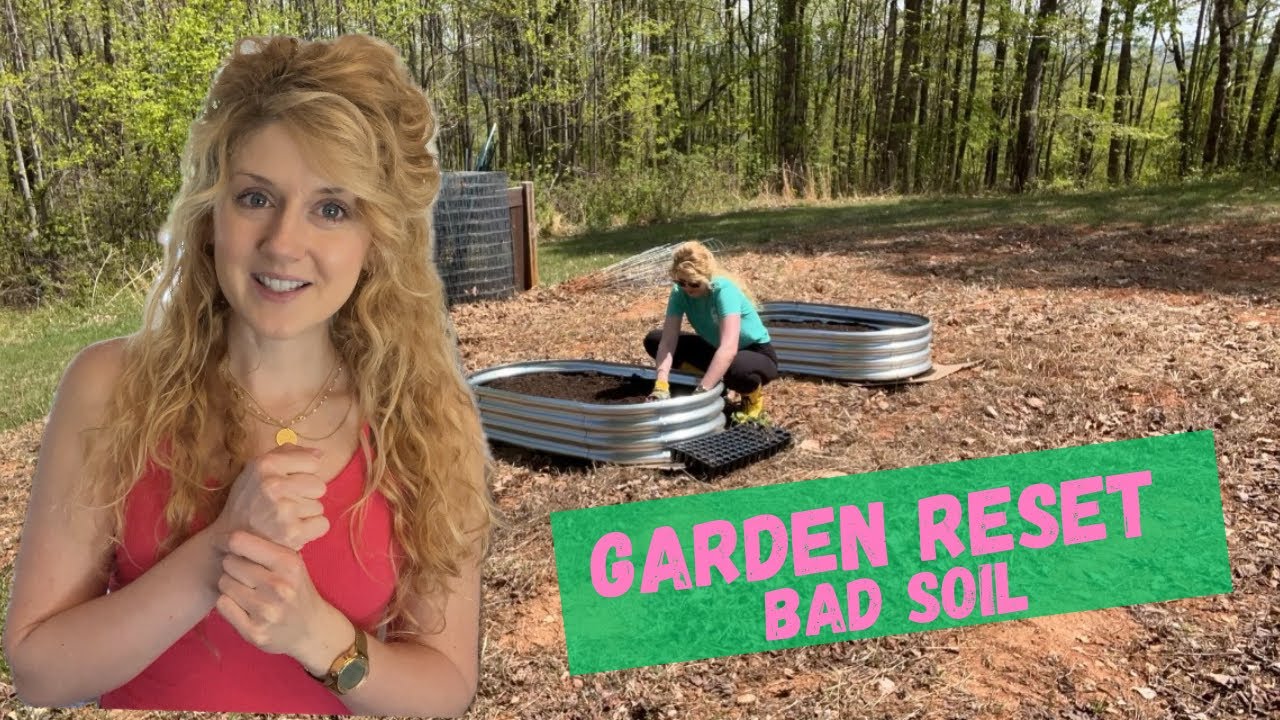 From Seeds to Garden Beds 🌱 My 2026 Garden Setup (Beginner Friendly)
