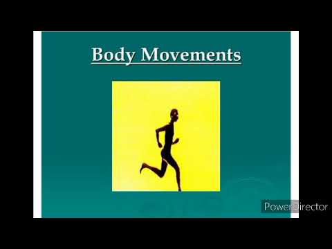 Body movements class 6 part 1 chapter 8 - YouTube
