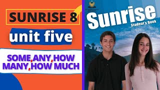 Sunrise 8 / Unit Five / Lesson 3 / Some – any – How many – How much