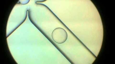 Droplet Testing (ARCHIVE)