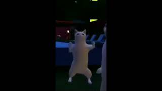 Stan Twitter: Horribly animated ugly cats dancing to the song Tiro by Arca! 🐈‍⬛💃