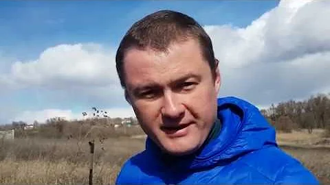 Правильный вариант посадки Павловнии!  Два варианта посадки.