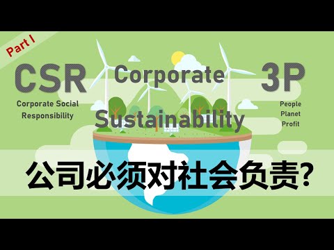 公司不应该只专注于赚钱? || Corporate Sustainability 企业可持续发展 (Part 1)