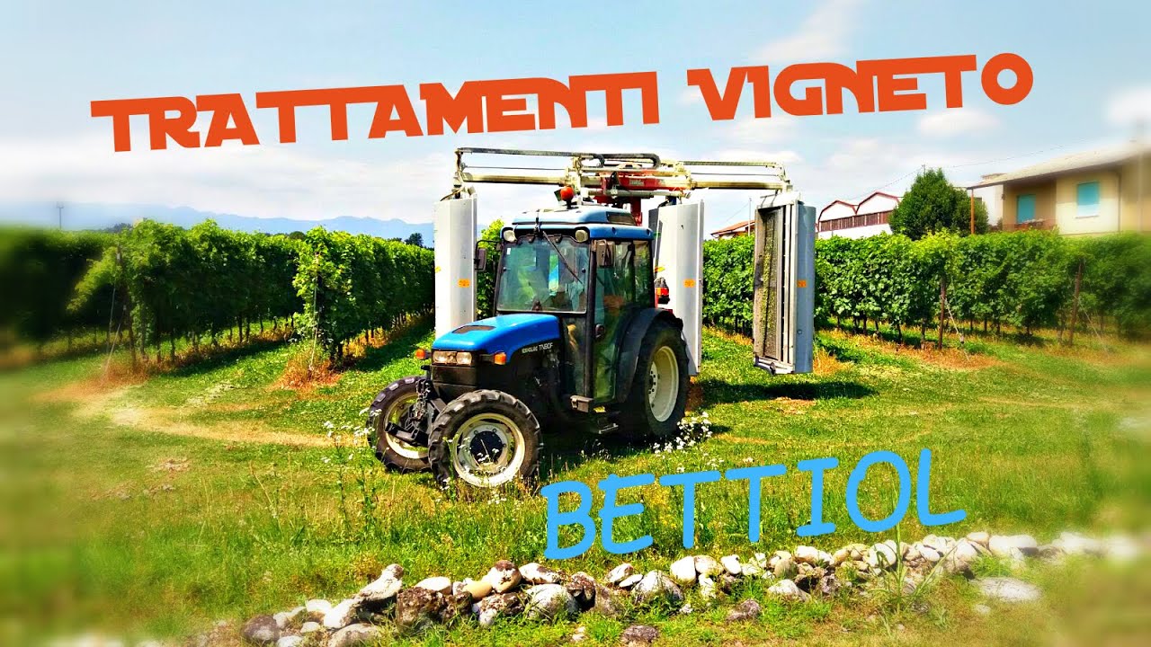 Trattamento Vigneto 2016 | New Holland TN90F + Atomizzatore Bertoni |BETTIOL|[Go Pro video HD]