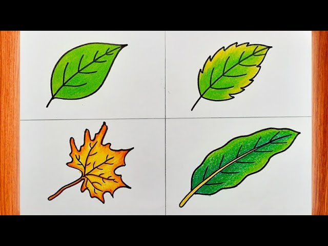 Simple Leaf Drawing Tutorials for Children - Petit Fernand UK