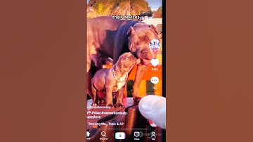 Infostealer Malware on TikTok: How "ClickFix" Scams Are Tricking Users