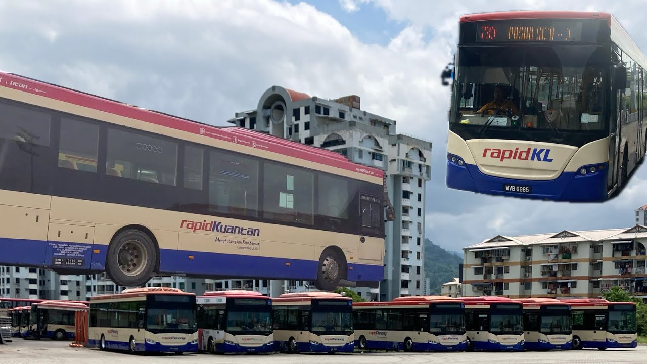 How many Scania buses does Rapid Bus have?